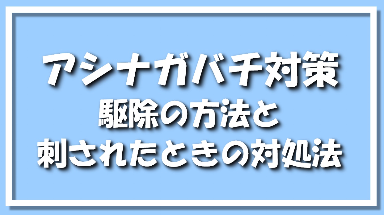 アシナガバチ対策｜駆除の方法と刺されてしまった場合の対処法